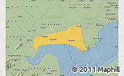 Savanna Style Map of Haining