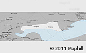 Gray Panoramic Map of Haining