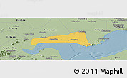 Savanna Style Panoramic Map of Haining