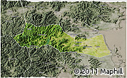 Satellite 3D Map of Huangyan, semi-desaturated