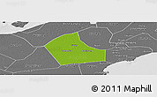 Physical Panoramic Map of Jiaxing, desaturated