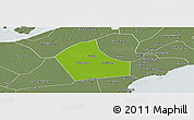 Physical Panoramic Map of Jiaxing, semi-desaturated