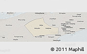 Shaded Relief Panoramic Map of Jiaxing, semi-desaturated