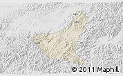 Shaded Relief 3D Map of Jiyun, lighten, desaturated