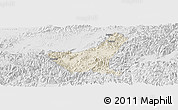 Shaded Relief Panoramic Map of Jiyun, lighten, desaturated