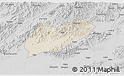 Shaded Relief 3D Map of Lanxi, desaturated