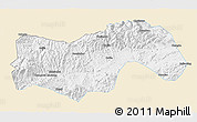 Classic Style 3D Map of Linan, single color outside