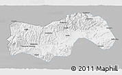 Gray 3D Map of Linan, single color outside
