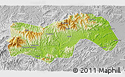 Physical 3D Map of Linan, lighten, desaturated
