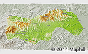 Physical 3D Map of Linan, lighten, semi-desaturated
