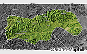 Satellite 3D Map of Linan, desaturated