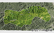 Satellite 3D Map of Linan, semi-desaturated