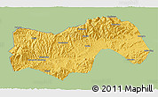 Savanna Style 3D Map of Linan, single color outside