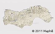Shaded Relief 3D Map of Linan, cropped outside
