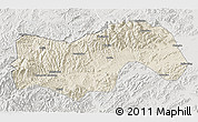 Shaded Relief 3D Map of Linan, lighten, semi-desaturated