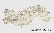Shaded Relief 3D Map of Linan, single color outside