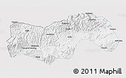 Silver Style 3D Map of Linan, single color outside