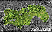 Satellite Map of Linan, desaturated