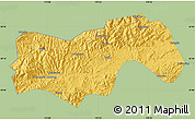 Savanna Style Map of Linan, single color outside