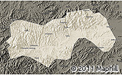 Shaded Relief Map of Linan, darken