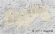Shaded Relief Map of Linan, desaturated