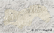 Shaded Relief Map of Linan, semi-desaturated