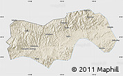 Shaded Relief Map of Linan, single color outside