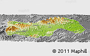 Physical Panoramic Map of Linan, desaturated
