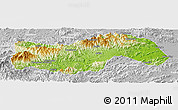Physical Panoramic Map of Linan, lighten, desaturated
