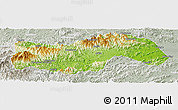 Physical Panoramic Map of Linan, lighten, semi-desaturated