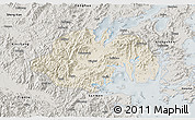 Shaded Relief 3D Map of Ninghai, semi-desaturated