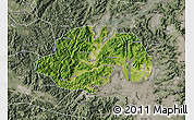 Satellite Map of Ninghai, semi-desaturated