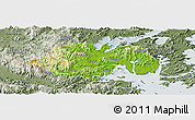 Physical Panoramic Map of Ninghai, semi-desaturated