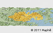 Savanna Style Panoramic Map of Ninghai