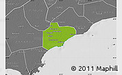 Physical Map of Pinghu, desaturated