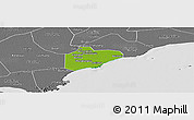 Physical Panoramic Map of Pinghu, desaturated