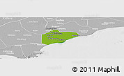 Physical Panoramic Map of Pinghu, lighten, desaturated