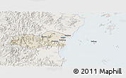 Shaded Relief 3D Map of Pingyang, lighten