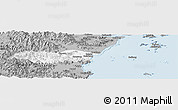Gray Panoramic Map of Pingyang