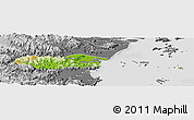 Physical Panoramic Map of Pingyang, desaturated