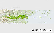 Physical Panoramic Map of Pingyang, lighten