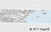 Silver Style Panoramic Map of Pingyang