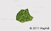 Satellite 3D Map of Pujiang, cropped outside