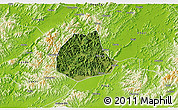 Satellite 3D Map of Pujiang, physical outside