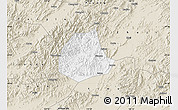 Classic Style Map of Pujiang