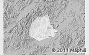 Gray Map of Pujiang