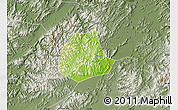 Physical Map of Pujiang, semi-desaturated