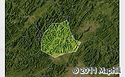 Satellite Map of Pujiang, darken