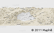 Classic Style Panoramic Map of Pujiang