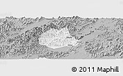 Gray Panoramic Map of Pujiang